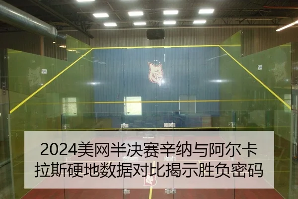 mei-wang-ban-jue-sai-xin-na-yu-a-er-ka-la-si-ying-di-shu-ju-dui-bi-jie-shi-sheng-fu-mi-ma-2-533.jpg